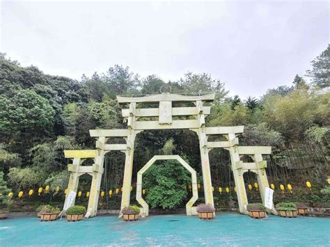 禪機山 仙佛寺|媲美京都古剎的絕景！南投「禪機山仙佛寺」五百羅漢。